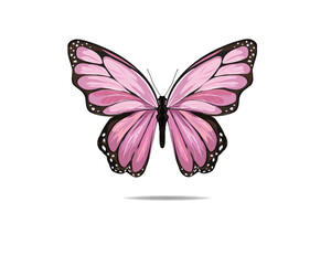 butterfly pink butterly art