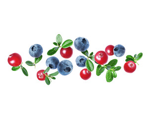 Group of cranberries and blueberries with leaves in the air close up on a white background
