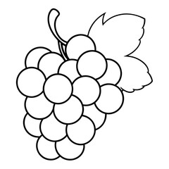 bunch of grapes, line art coloring book page for kids vector art illustration
