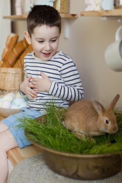 Child with bunny and Easter decor