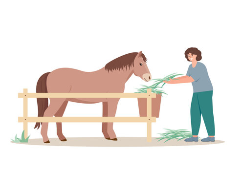 Farmer woman with horse. Female character feeding horse isolated on white background. Farming concept Vector illustration.