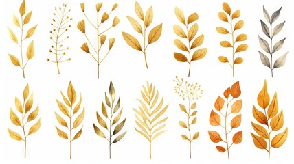 Assortment of golden leaves isolated on white background. Elegantly designed foliage illustrations. Concept of autumnal decor, elegant flora, and artistic botanicals.