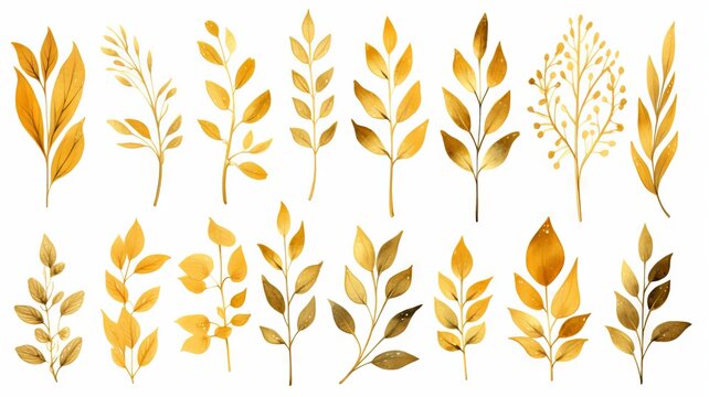 Fototapeta Collection of gold leaf designs isolated on white background. Various stylized golden foliage. Concept of nature motifs, decorative elements, and seasonal graphics.