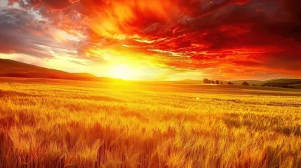 Fototapeten Golden Sunset over Serene Rural Landscape © Volodymyr Skurtul
