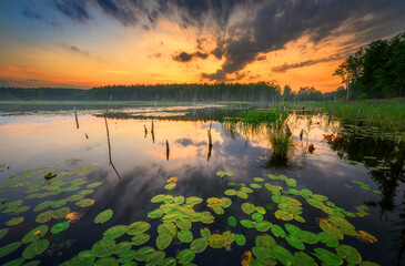 Beautiful summer sunset over the lake