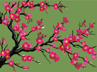 spring tree dark pink blossom isolated on green background
