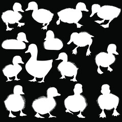 fefteen duckling silhouettes set isolated on white - 784753851
