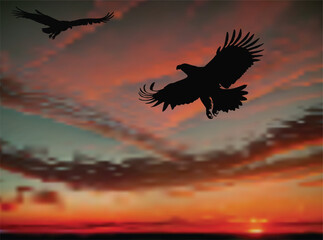 two eagles flying in red sunset sky