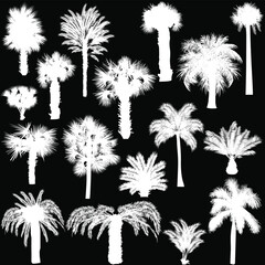 seventeen palm silhouettes isolated on black - 784753894