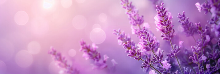 Vibrant violet lavender flowers against a soft purple backdrop. Generative AI