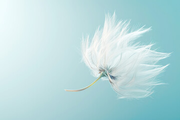 A dandelion seed floating on the wind, viewed closely, against a light blue background, in macro photographic style