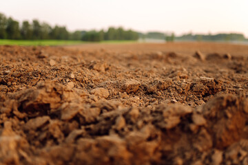 Clean soil for growing. Soil before sowing. Agriculture farm. 