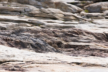 Rocky Shore by the Ocean