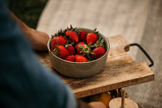 Strawberry bowl isolated in a natural environment