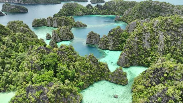 Healthy coral reefs surround rugged islands rising from Raja Ampat's tropical seascape. This region of Indonesia is known as the heart of the Coral Triangle due to the marine biodiversity found there.