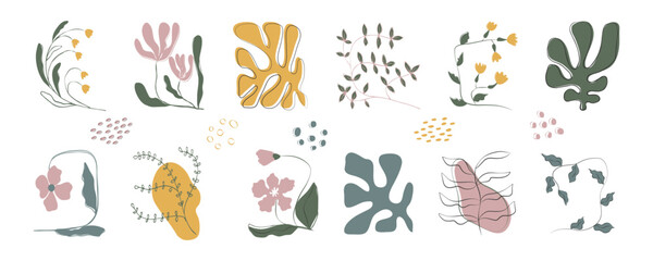 A set of different flowers, twigs, leaves hand-drawn. Set of abstract trendy floral. Modern boho art, minimalist botanical flower for print poster home interior decor.