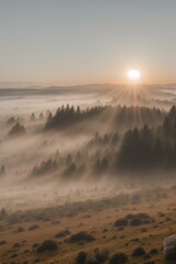 Foggy sunrise over forest valley landscape in the mountains