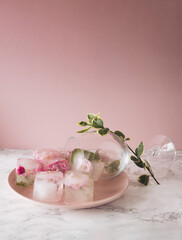 Beautiful small pink flowers in ice cubes and glass with petals on pink plate on pink background.