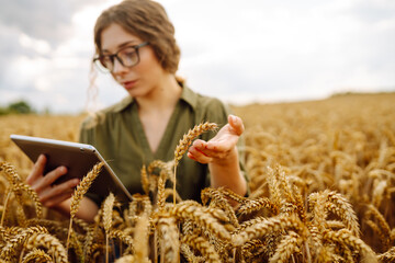 Woman agronomist in a field checks the growth of the crop. Growth nature harvest. Agriculture farm.