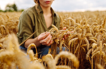 Woman agronomist in a field checks the growth of the crop. Growth nature harvest. Agriculture farm.