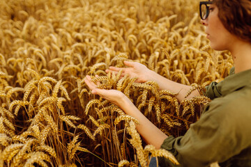 Woman agronomist in a field checks the growth of the crop. Growth nature harvest. Agriculture farm.