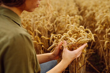Woman agronomist in a field checks the growth of the crop. Growth nature harvest. Agriculture farm.
