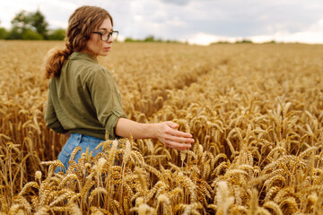 Woman agronomist in a field checks the growth of the crop. Growth nature harvest. Agriculture farm.