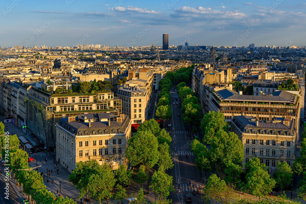 Wall mural Aerial view of avenue  in Paris, France. Skyline of Paris. Architecture and landmarks of Paris