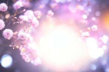 magic soft  background with  light  and  blooming  flowers purple