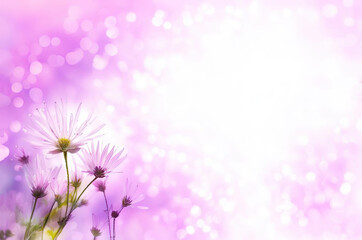 magic soft  background with  light  and  blooming  flowers purple