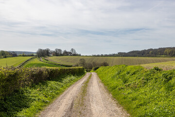 A rural Sussex landscape on a sunny spring day, with a country road running through farmland