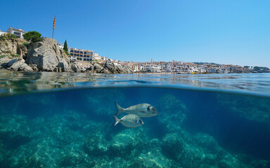 Spain town on the Mediterranean coast seen from sea surface with fish underwater, natural scene, split view half over and under water surface, Calella de Palafrugell, Costa brava