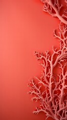 Coral background with dark coral paper on the right side, minimalistic background, copy space concept, top view, flat lay, high resolution photography, stock photo, professional color grading