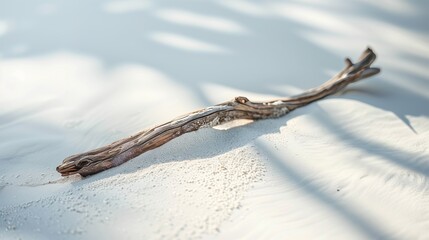 Close-up photo of white driftwood on sand, minimalist aesthetic, light beige background. Generated...