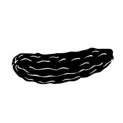 Botanical silhouette, cucumber vegetable stamp. Vector graphics.