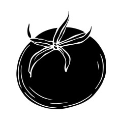 Botanical silhouette, tomato vegetable stamp. Vector graphics.