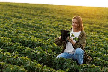 Smart farming soybean technology. Smiling female farmer with digital tablet uses for examine and check soya plants in field. Modern agribusiness of control of growth and development of sprouts