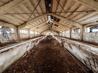 Fototapeta na wymiar Scene inside old abandoned milk cow farm with feeders, windows and old equipment. Soviet union style collective farm. Cost of running agriculture business and economy effects on production.