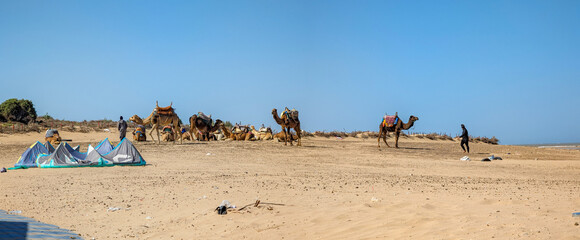 Panoramic view at Essaouira in Morocco on a sunny day 