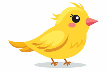 canary bird vector illustration