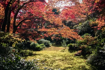Tuinposter the beautiful scenery of japan © Ahmed