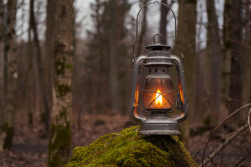 A kerosene lantern shines near a mossy tree