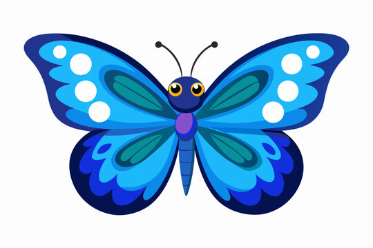 blue butterfly vector illustration