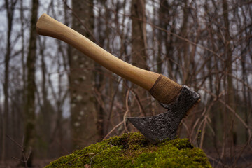 old ax in green moss