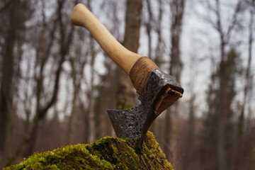 old ax in green moss