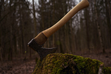 old ax in green moss