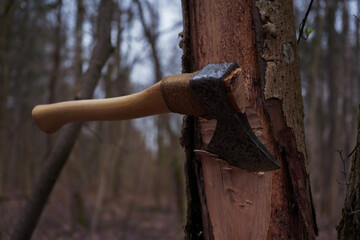old ax sticking out of a tree