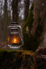 A kerosene lantern shines near a mossy tree