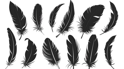 Bird Feather black silhouettes. Plumelet collection. Vector isolated on white
