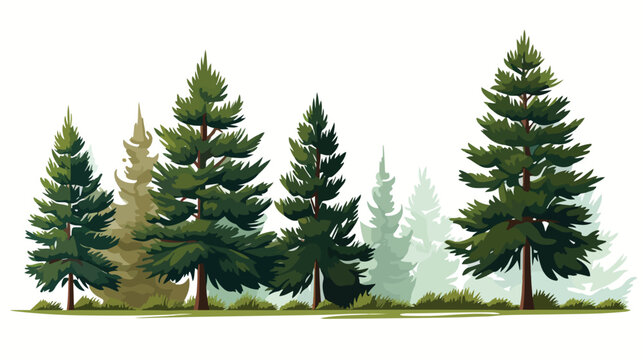 Vector image icon of a pine type trees white background